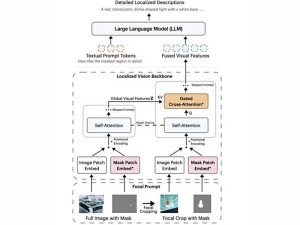 英伟达新模型DAM-3B：精准描绘图像视频局部细节