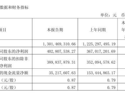 金山辦公2025年Q1財報：歸母凈利潤增近10%，WPS個人業(yè)務(wù)成亮點