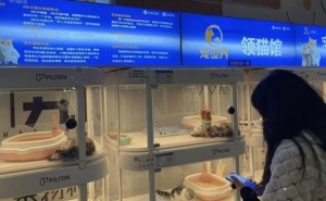 宠物消费市场乱象频发，四大消费陷阱你中招了吗？