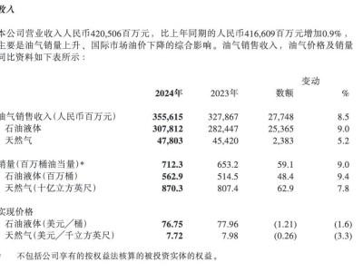 中国海油董事长汪东进卸任，油气增储上产七年计划成果如何？