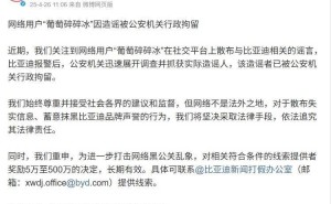比亚迪法务部：网络造谣者“葡萄碎碎冰”已被行政拘留