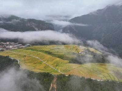 五一贡山探秘行：与阿茸姑娘共赴一场天赋解锁之旅