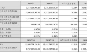 四维图新2024年业绩揭晓：营收增长超一成二，净亏损收窄，智驾智云业务亮眼