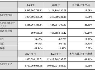 四维图新2024年业绩揭晓：营收增长超一成二，净亏损收窄，智驾智云业务亮眼