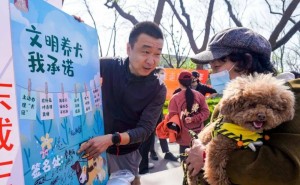 文明养犬，从我做起，共筑和谐家园