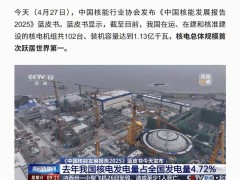 中国核电规模登顶全球，1.13亿千瓦装机容量彰显实力