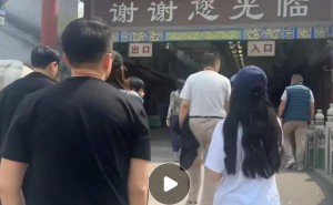 汪大爷宠孙有方，小玥儿生日逛花鸟市场，隔辈亲情满满！