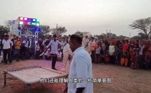 白龙马：才艺背后，无尽的表演生涯何时休？