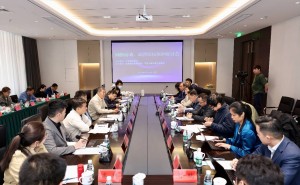 共筑版权新生态！中国版权协会研讨游戏动漫版权保护新路径