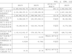 亚信安全2024年营收大增至36亿，田溯宁持股超五成掌控大局
