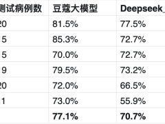 理工男团队自研妇科大模型，小参数量如何实现高准确率？