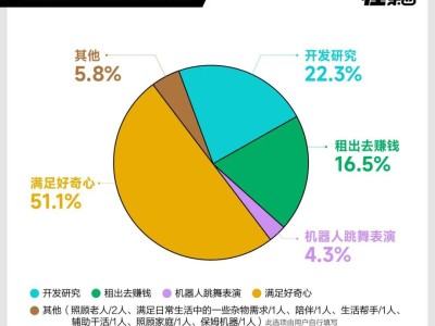 人形机器人火爆，9万9售价值不值？200余消费者心声揭秘