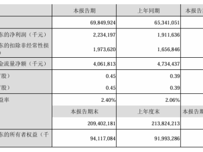 顺丰控股2025Q1财报：业务量猛增近两成，盈利能力稳步提升