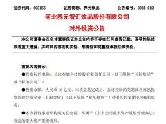 养元饮品16亿元跨界投资长江存储母公司