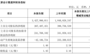 石头科技2025年Q1营收大增86%，净利润下滑三成，新品类表现抢眼