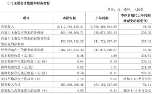 九号公司2025年一季度营收大增近两倍，净利润达4.56亿
