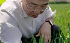 农药行业龙头先达股份：以创新为翼，全球崛起进行时！