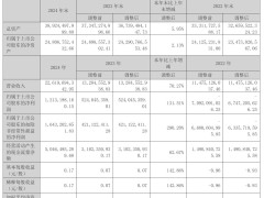 世纪华通2024年营收大增七成，净利翻番，拟投10亿理财却遭年报虚假记载处罚