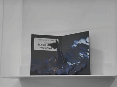 《黑神话：悟空》TGA奖杯姗姗来迟，历经四月终现身展览