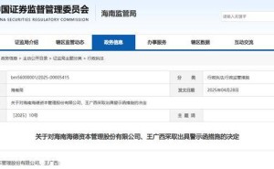 海德股份8亿资金被占未披露，董事长同遭监管警示，股价影响几何？