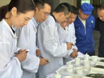 峨眉雪芽手工制茶大赛：匠心汇聚，共绘非遗文化新篇章