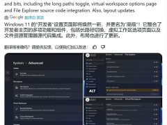 Win11设置大升级：“开发者专用”变身“高级”页面，新功能抢先看