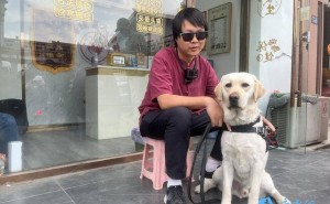 宿迁首迎导盲犬“杰瑞”，视障人士笪珂喜获“第二双眼睛”