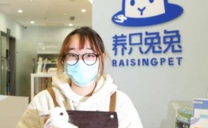 河南姑娘弃计算机投身杭州宠物店：萌兔与貂成日常治愈系