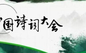 康震现场作诗引热议，国学大师真才实学遭质疑？