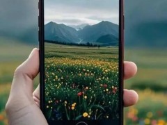 2025年摄影新选择：相机与拍照手机，谁是你的最佳拍档？