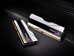 芝奇128GB DDR5-8400内存曝光：高频但时序CL44，专为专业应用而生？