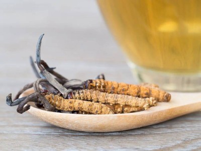 青海春天脫困路：聽花酒能否成為翻身關鍵？