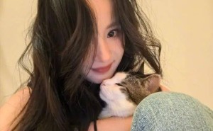 猫咪不抓老鼠，是因为老鼠变大了？真相令人意想不到！