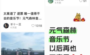 音乐节拥抱流量：票房高涨与口碑反噬如何平衡？