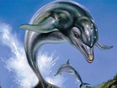 《海豚历险记》系列重获新生，原班人马打造新作何时惊艳亮相？
