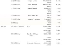 美团2024年报揭秘：王兴持股9.3%，掌握46%投票权，京东成新挑战者？