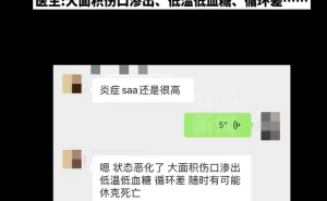 猫咪不幸坠火锅离世，店主积极赔偿获网友力挺