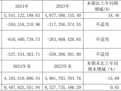 经纬恒润2024年增收不增利 亏损扩大至5.5亿元