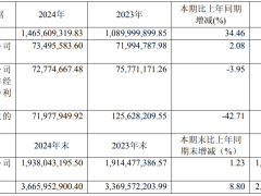 徕木股份2024年净利润增长2.08% 现金流下降42.71%