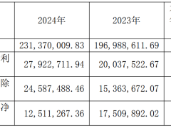 朗博科技2024年净利润2792.27万元 增长39.35%