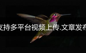 抖音小视频提升排名新策略：知乎批量上传效果揭秘
