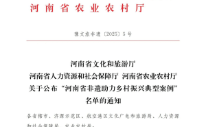淮阳芦苇画：非遗传承助残致富，乡村振兴新典范！