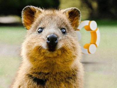 Ubuntu 25.10 Questing Quokka 每日构建版上线，邀你共测新特性