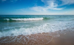 海洋“显微镜”上线！全球首个公里级海洋环流模式构建成功