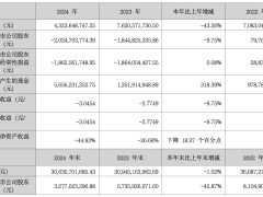 中洲控股2024年营收下滑43% 亏损幅度进一步扩大
