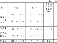 华丽家族2024年净利润下滑159% 房地产结转与新兴业务拖累业绩​