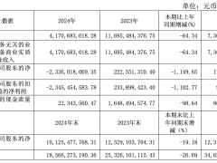 大名城2024年净亏损23.36亿元 行业寒冬下加速转型​