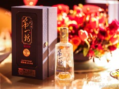 水井坊：以消费者为核心，引领白酒行业稳健新篇章