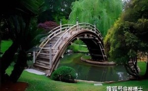 语文考前40天，如何避免题海迷失？建参照、淘精品、溯课本是关键！
