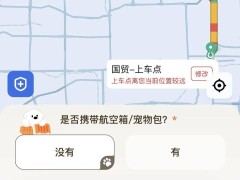 携宠出游成新风尚，宠旅生意能否持续“吸金”？